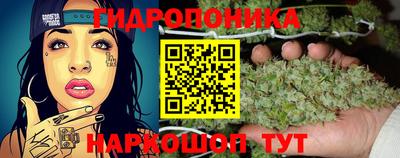 тгк Берёзовский