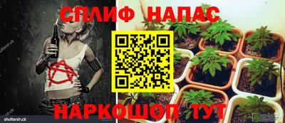 тгк Берёзовский