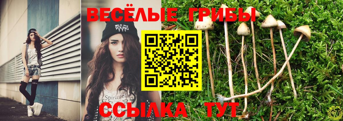Ижевск  что такое наркотик  Вход с VPN  Псилоцибиновые грибы ЛСД 