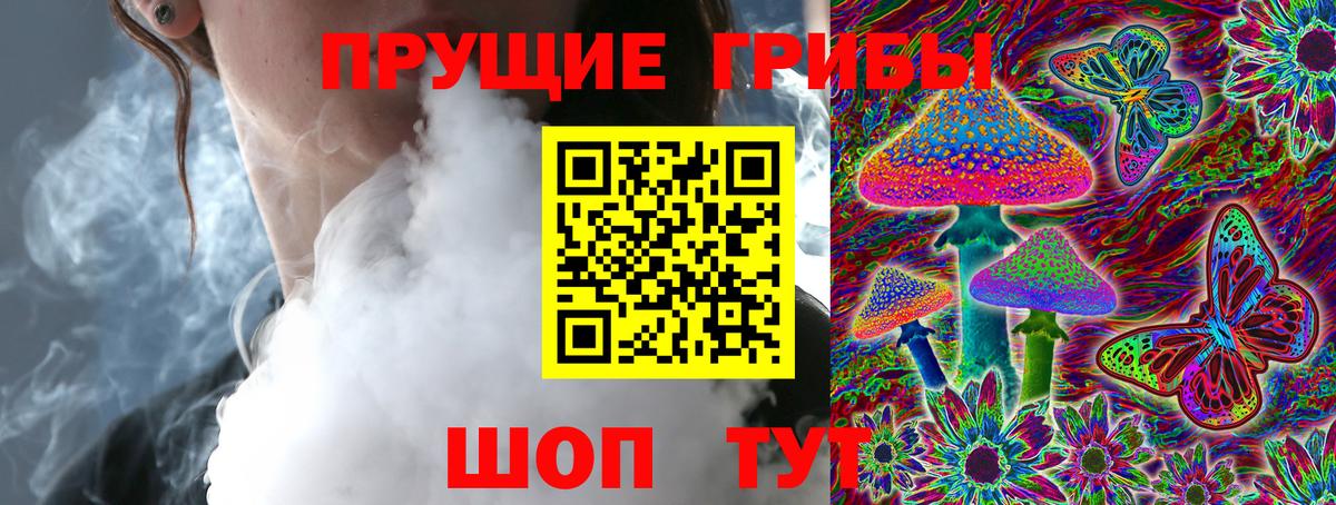 Псилоцибиновые грибы Cubensis Ижевск