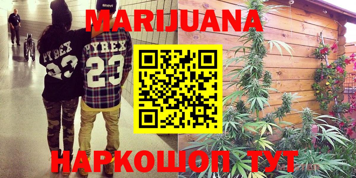 Бошки Шишки сатива  Каннабис планчик  Ижевск  Вход с VPN 